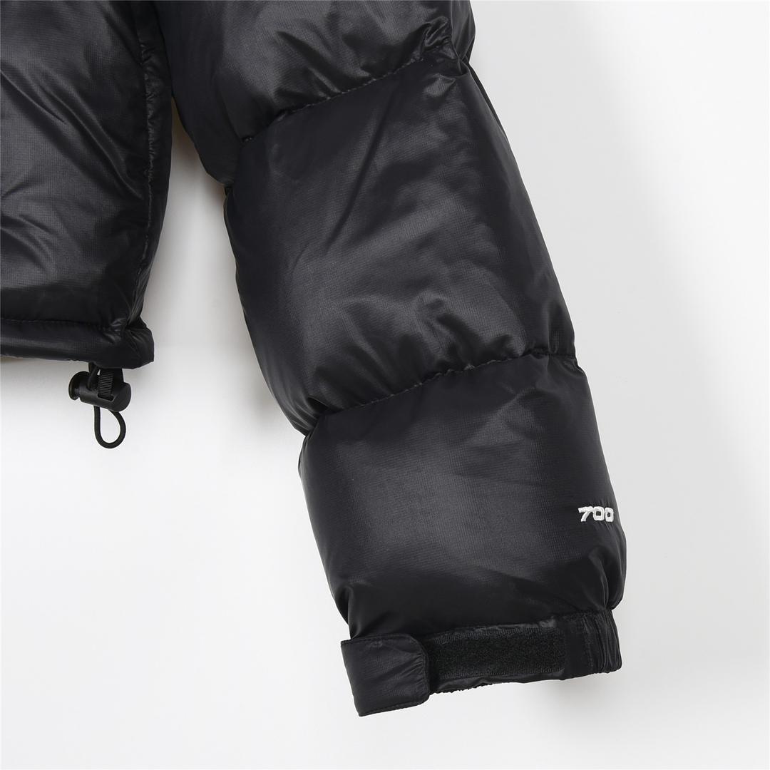 The North Face Classic Black Puffer Jacket